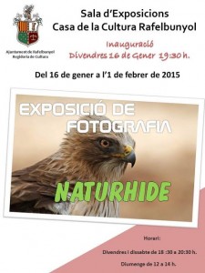 Cartel Exposición Naturhide Rafelbuñol (Valenciano)
