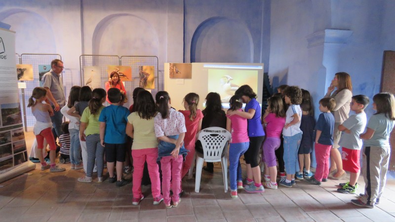 Visita escolares a la Exposición Naturhide Chelva